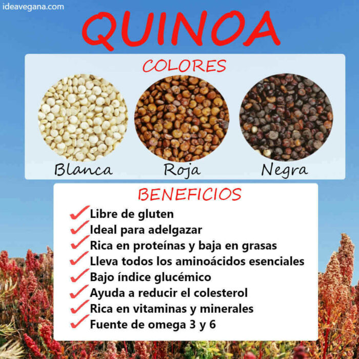 Semilla de Quinoa roja 1 kg